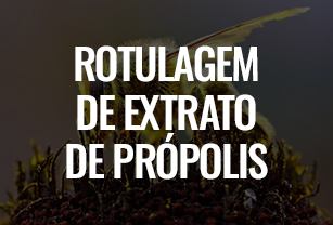 10 Passos para Construir um Poderoso Negócio