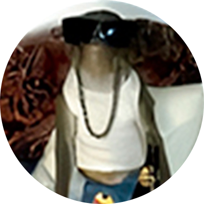 Foto de perfil de LAFIN