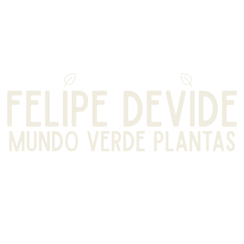 Felipe Devide
