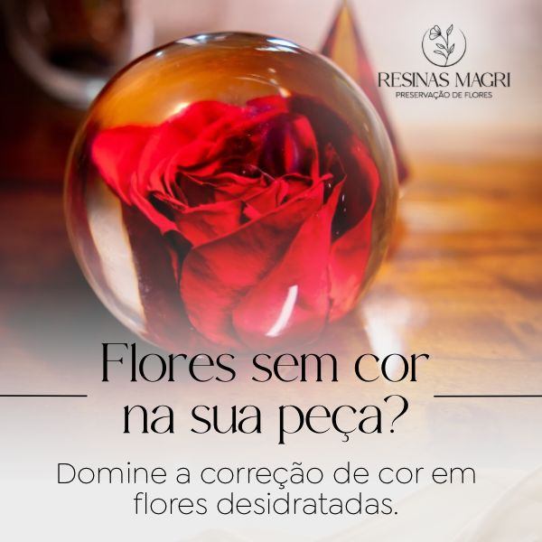 Flores com cores corrigidas