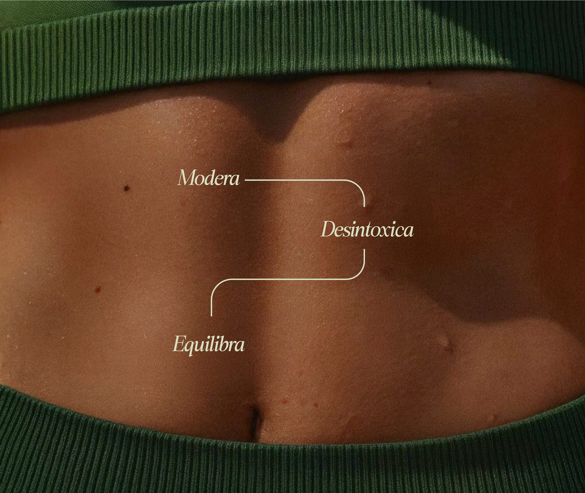 Modera · Desintoxica · Equilibra
