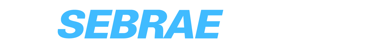 Sebrae Conecta