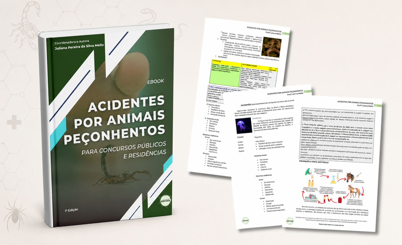 Capa do E-book Acidentes por Animais Peçonhentos