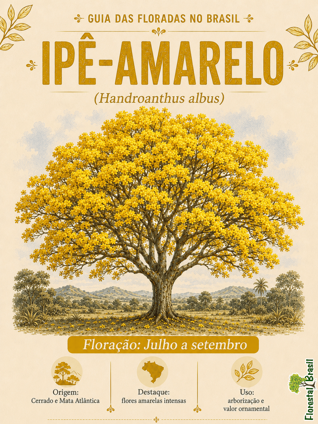 Ipê-amarelo