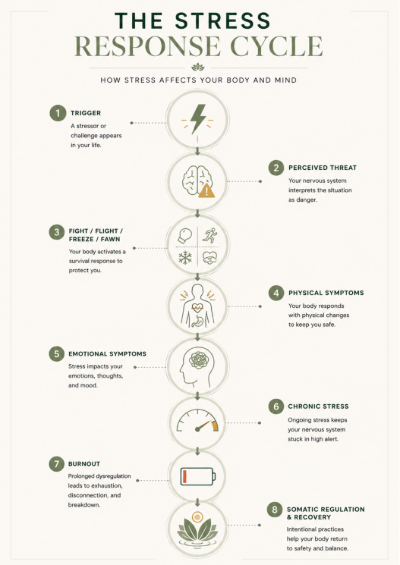 Illustration of neural pathways