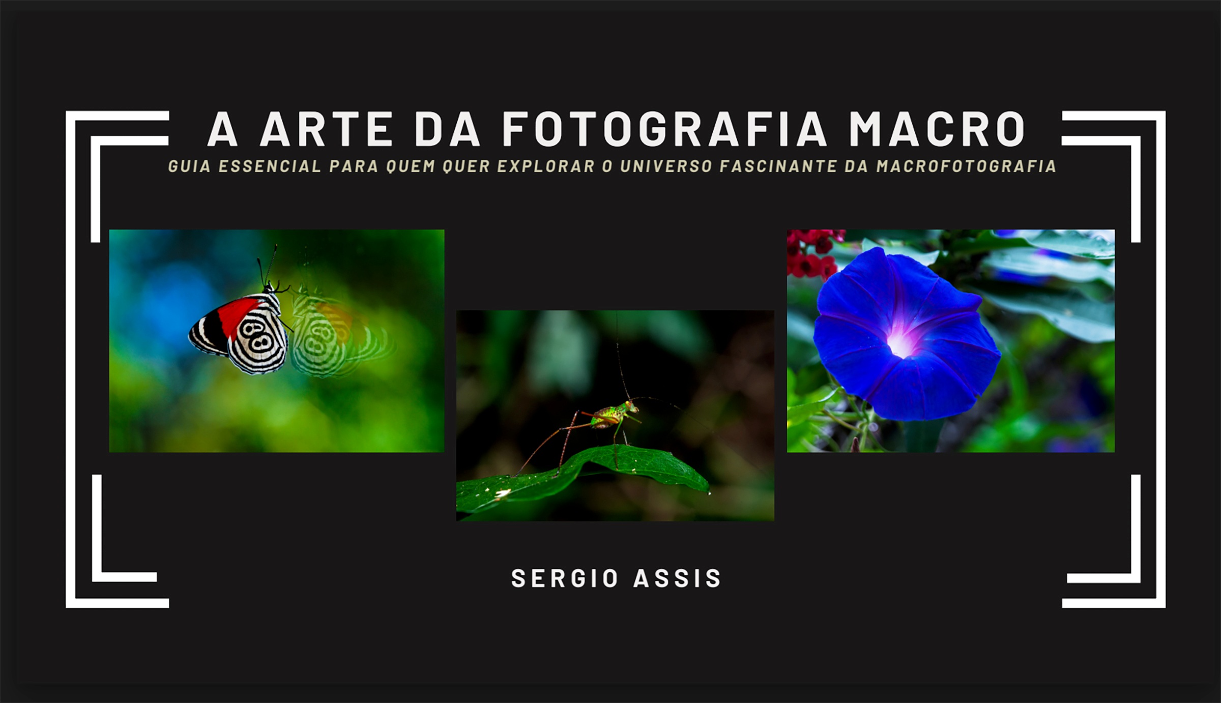 Capa do E-book 'Desvendando a Sua Câmera'