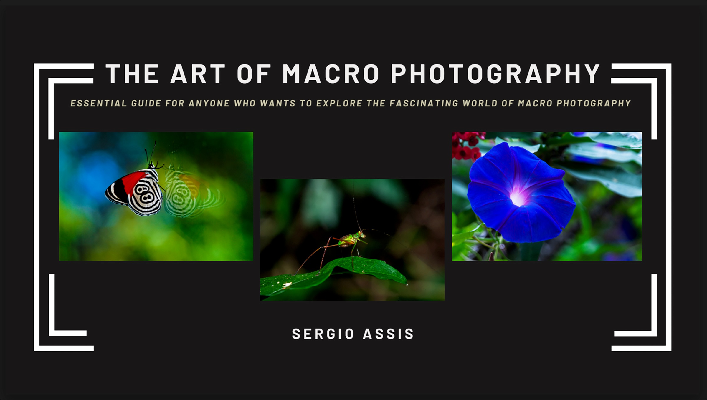 Capa do E-book 'Fluxo de Edição Profissional com Lightroom'