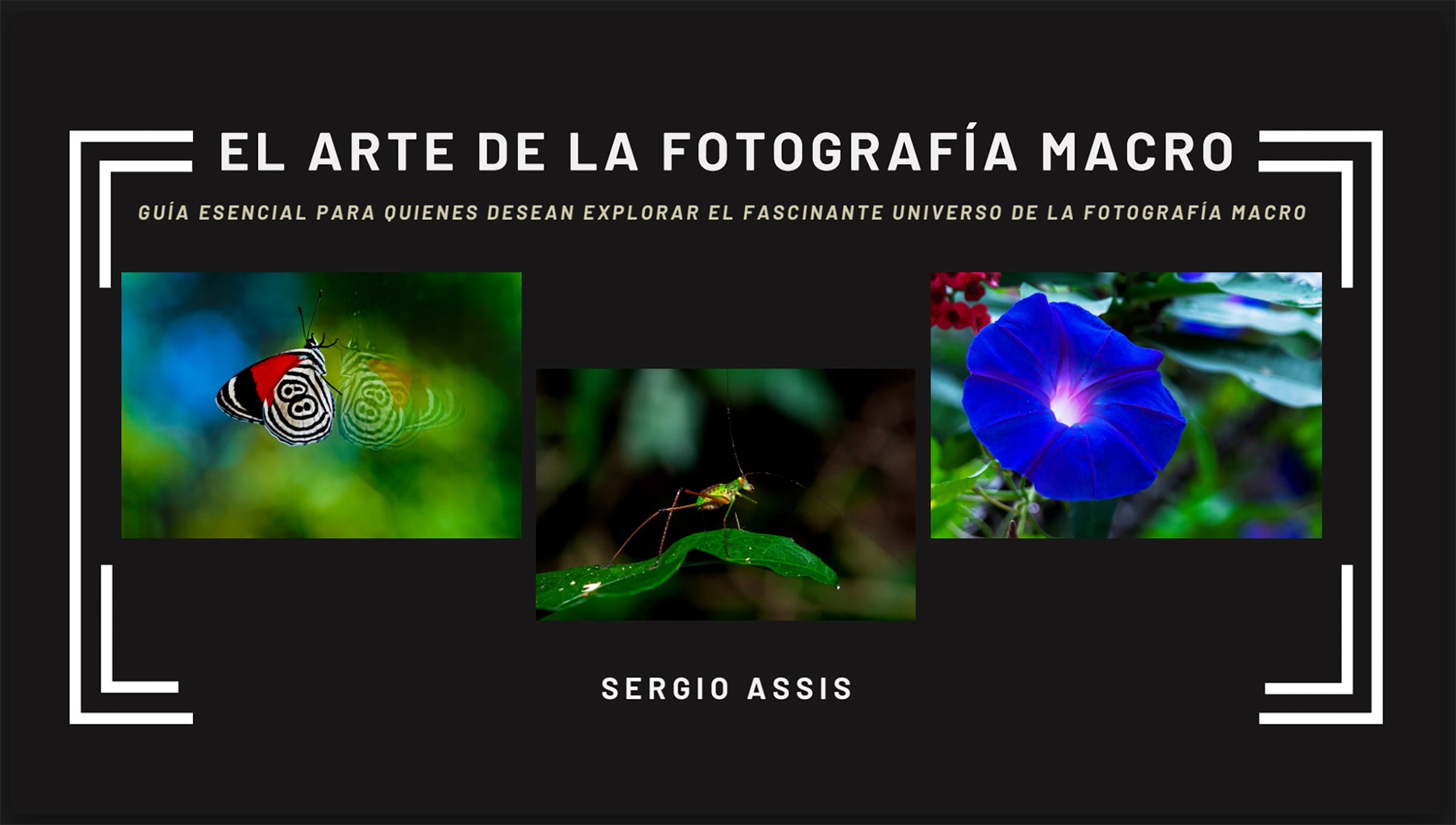 Capa do E-book 'O Olhar do Fotógrafo: Composição e Enquadramento'