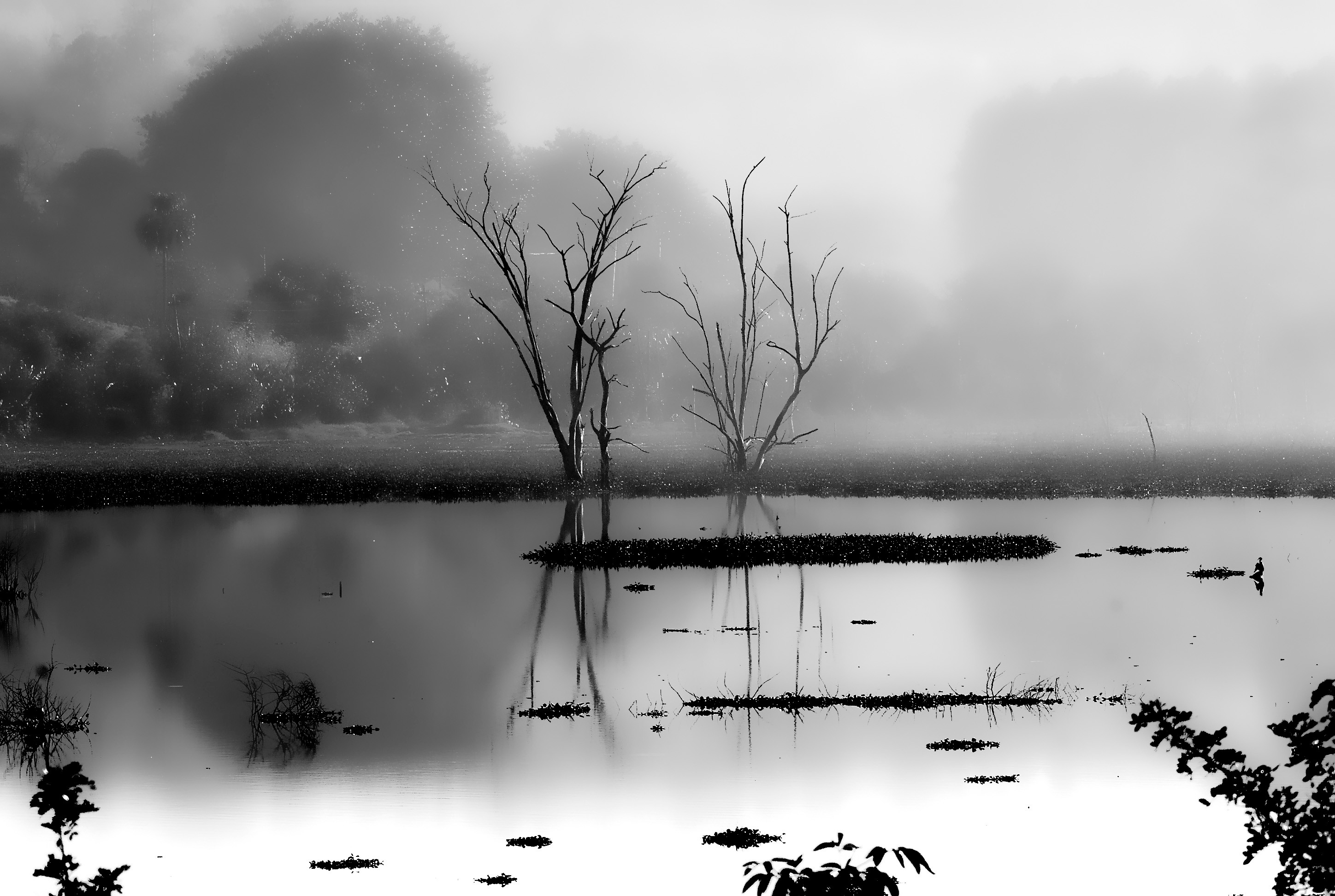 Fine Art