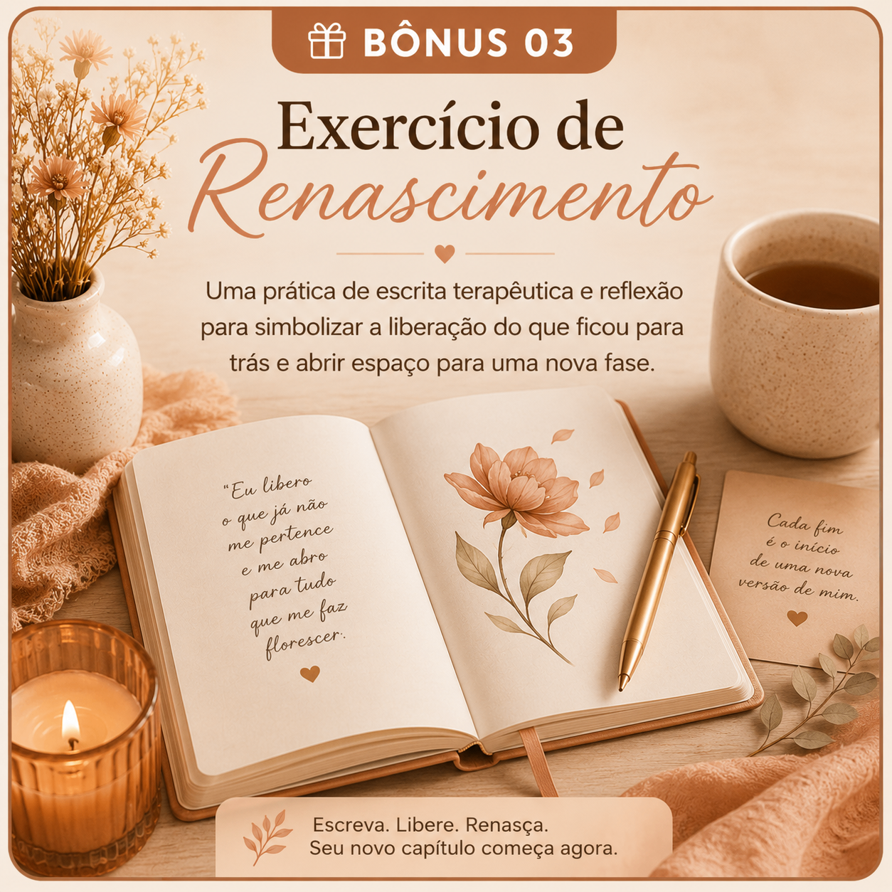 Capa do Exercício de Renascimento