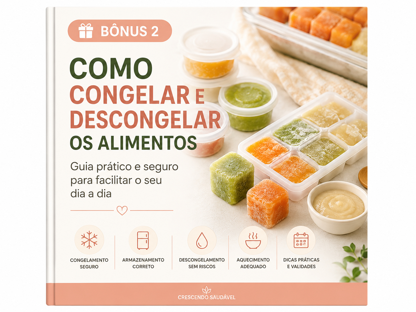 Guia de Congelamento e Descongelamento