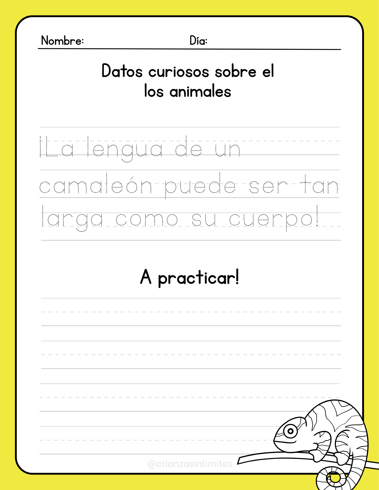 Ficha de Deportes Insólitos