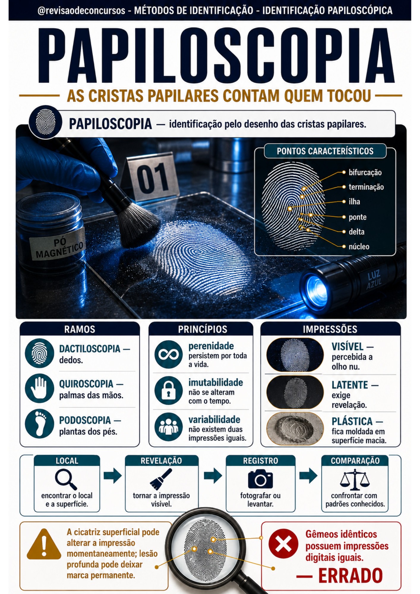 Amostra complementar 01