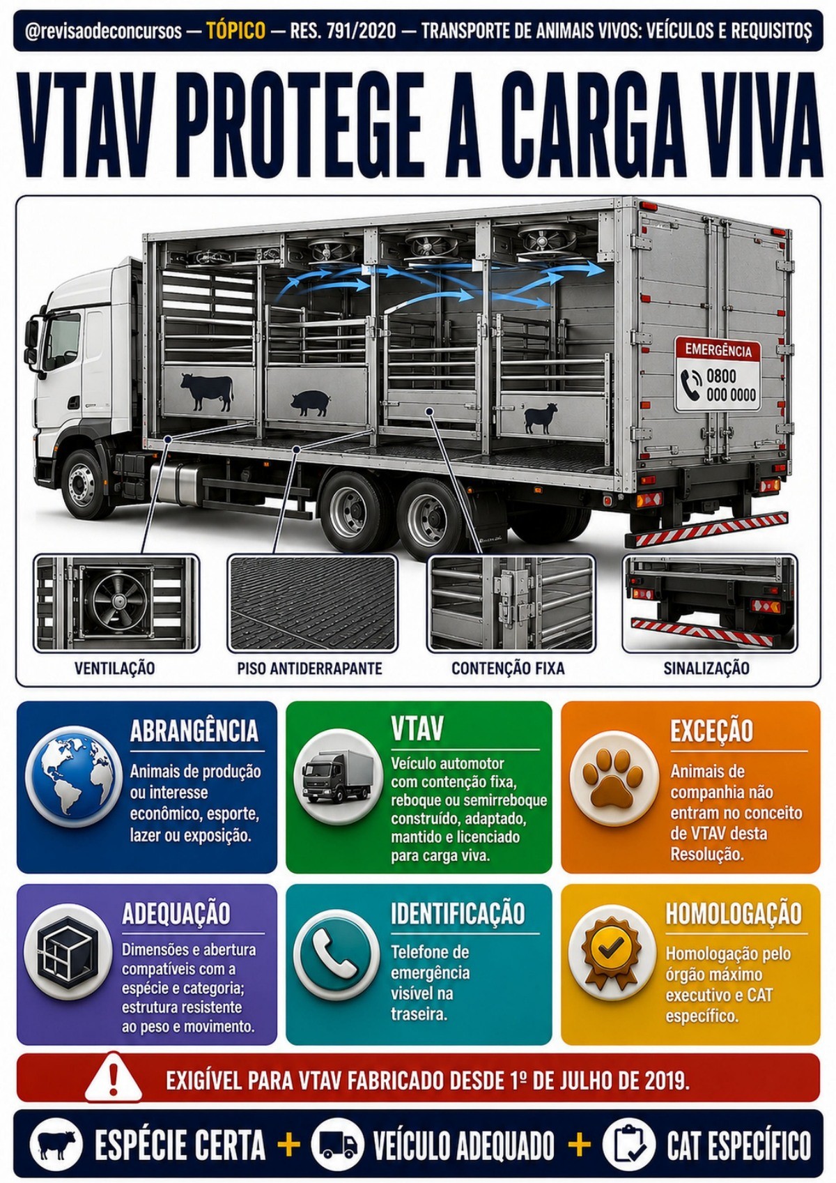 Amostra complementar 08 — transporte de animais vivos