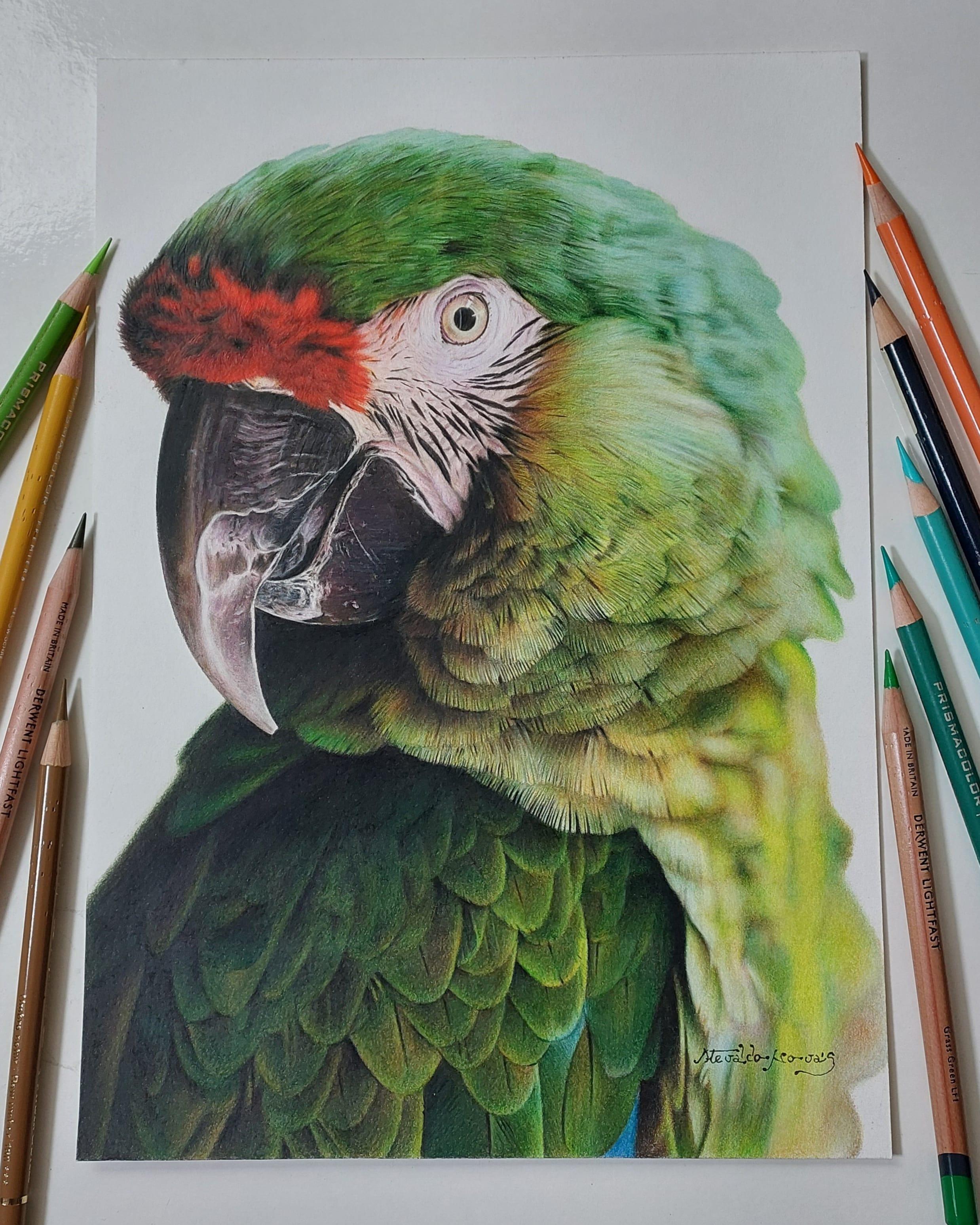 Desenho de Fruta