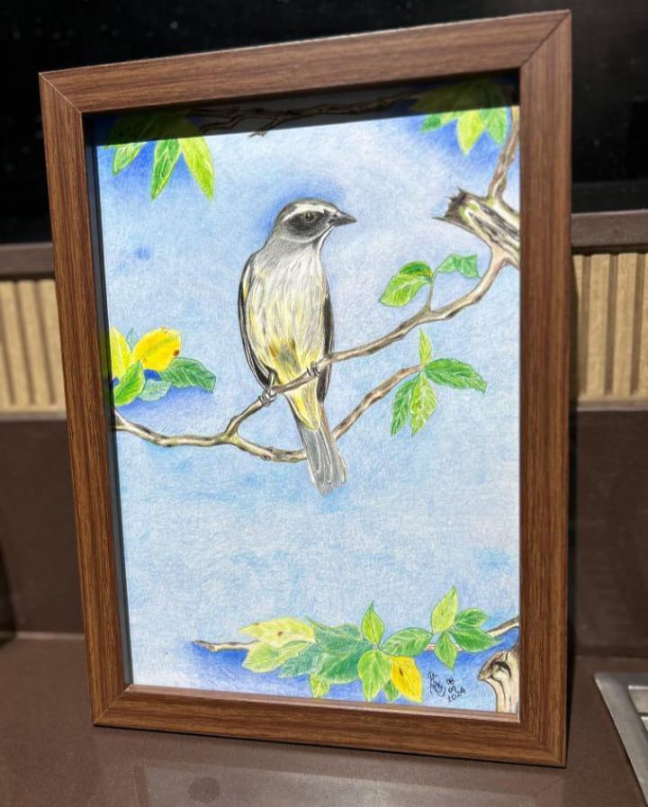 Desenho de Animal
