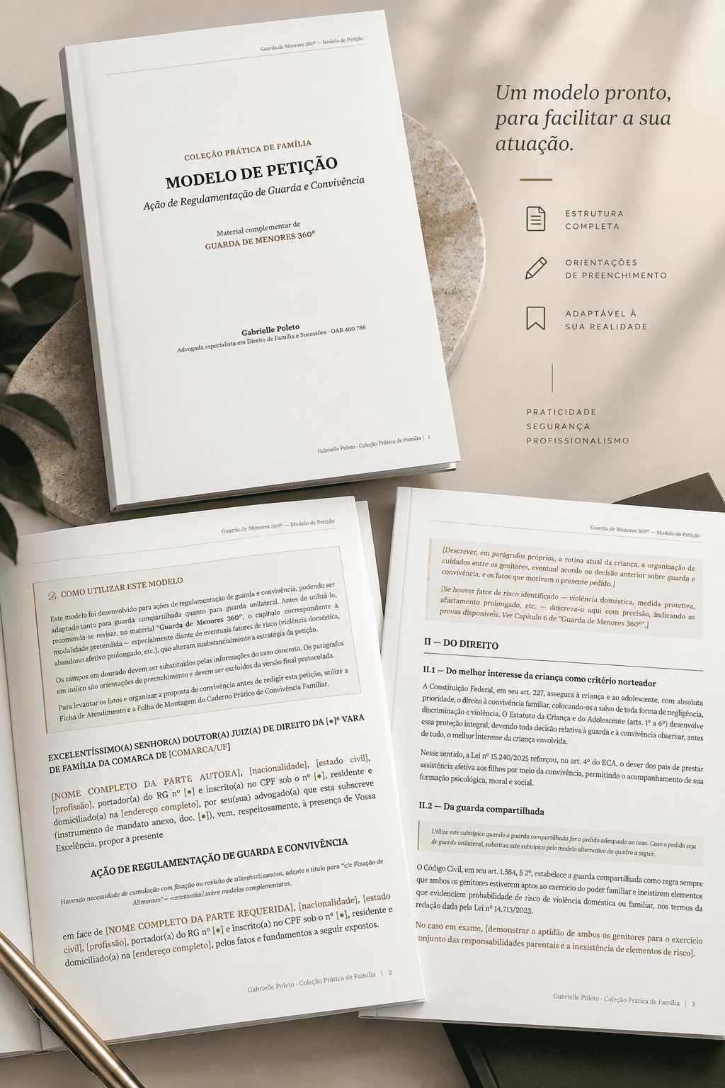 Trecho do Modelo de Ação de Regulamentação de Guarda e Convivência
