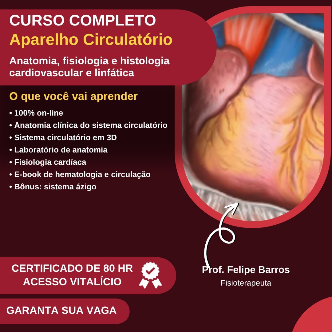Anatomia do Aparelho Circulatório – Prof. Felipe Barros