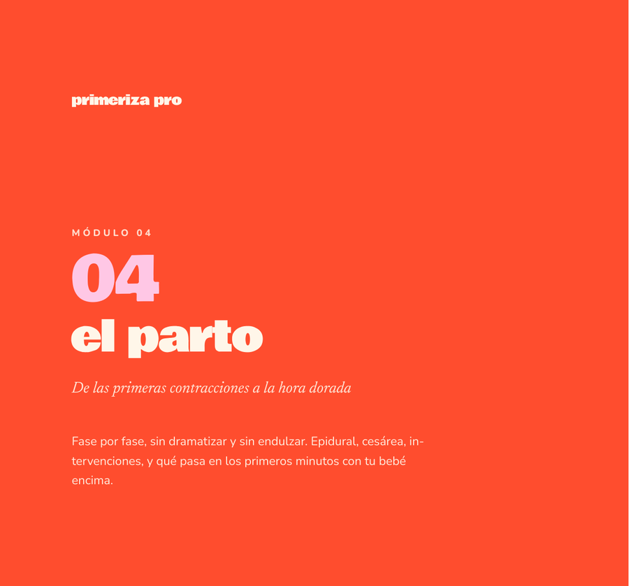 Módulo 4