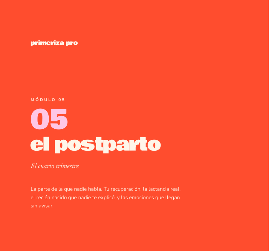 Módulo 5