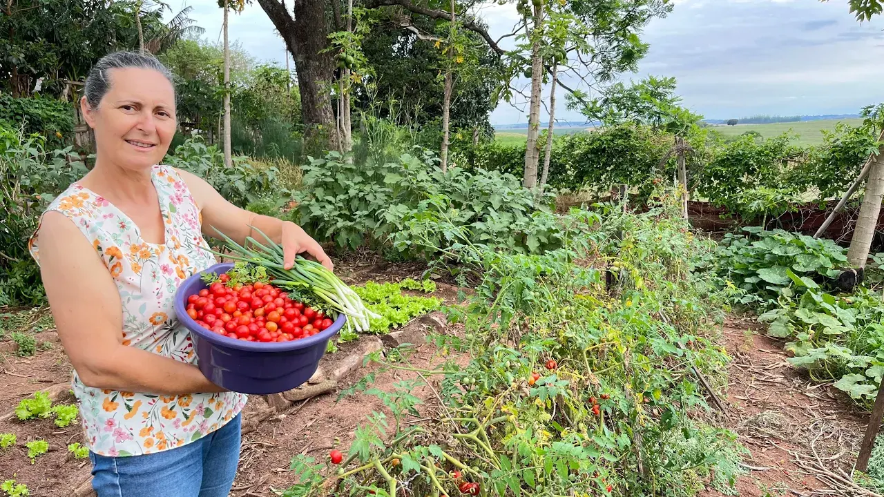 Molho de Tomate Caseiro