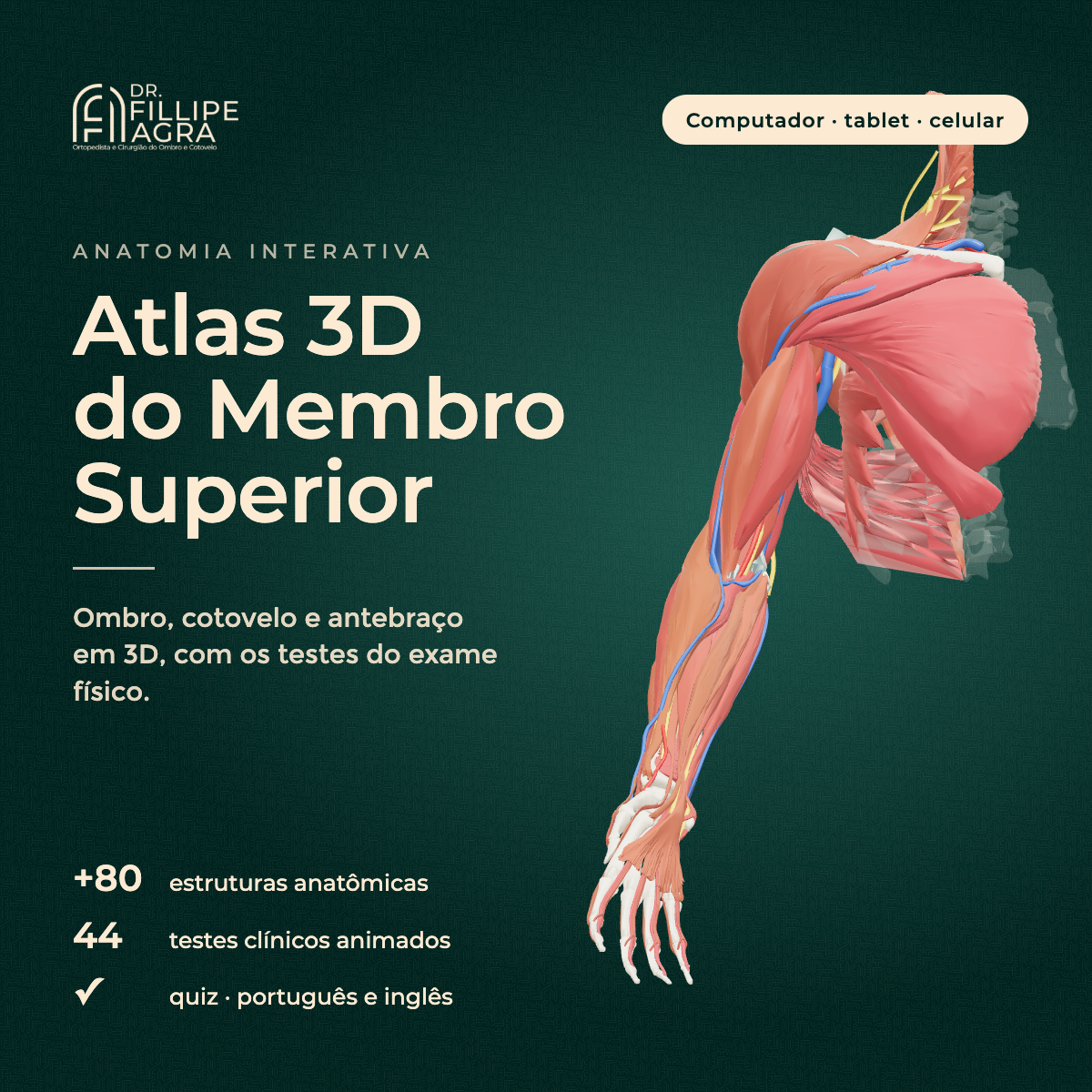 Atlas 3D do Membro Superior