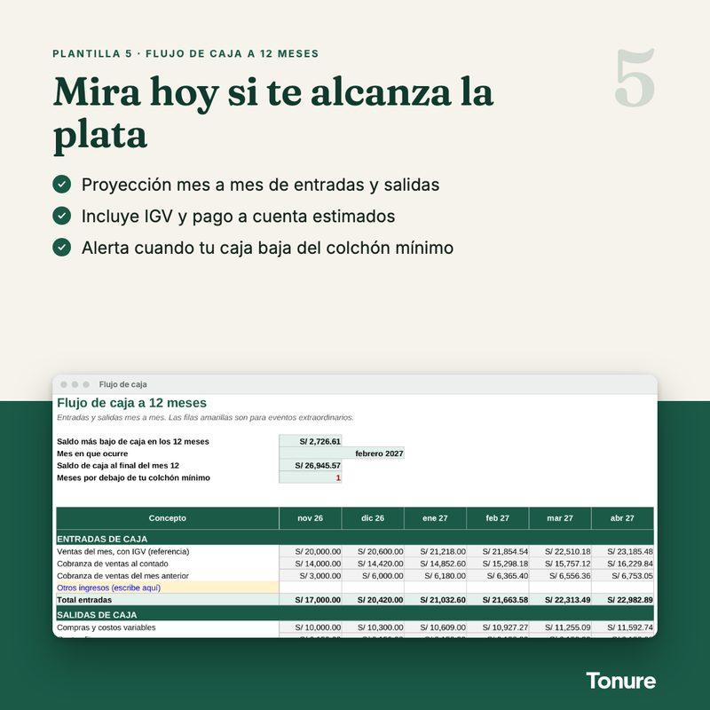 Plantilla Flujo de caja a 12 meses