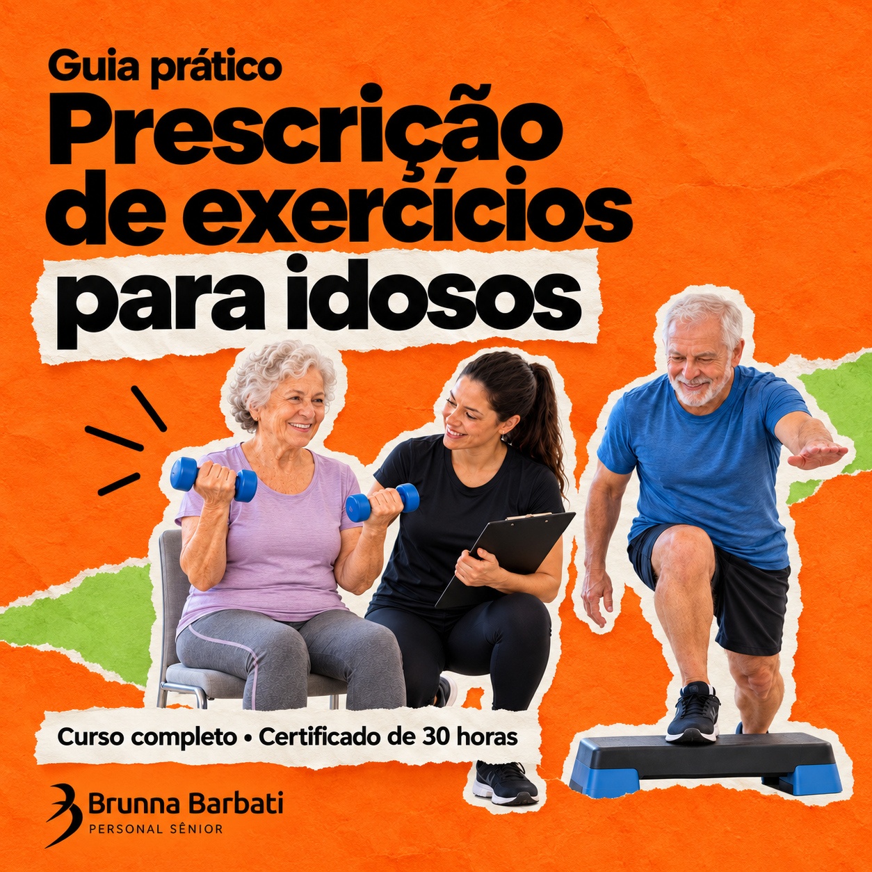 Guia Prático de Prescrição de Exercícios para Idosos