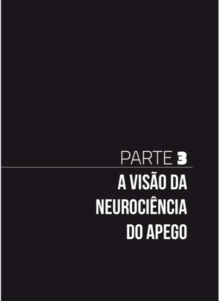 Imagem 01