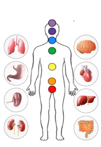 MENTE: Saúde Quântica