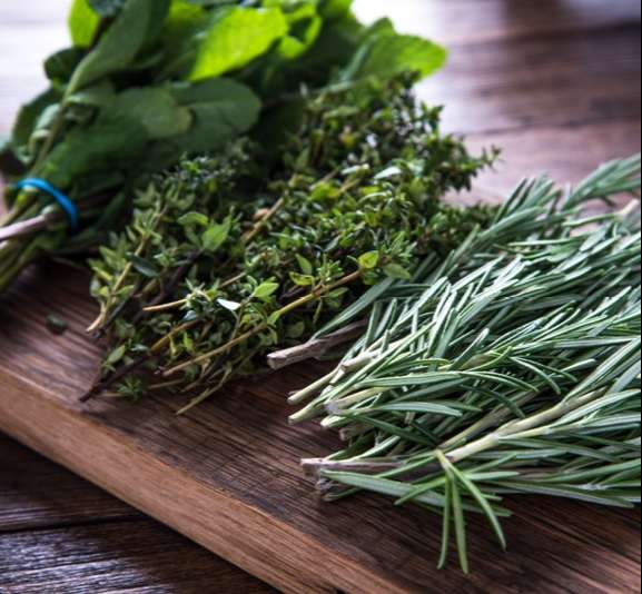 10 Passos para Construir um Poderoso Negócio e Crescer Rápido