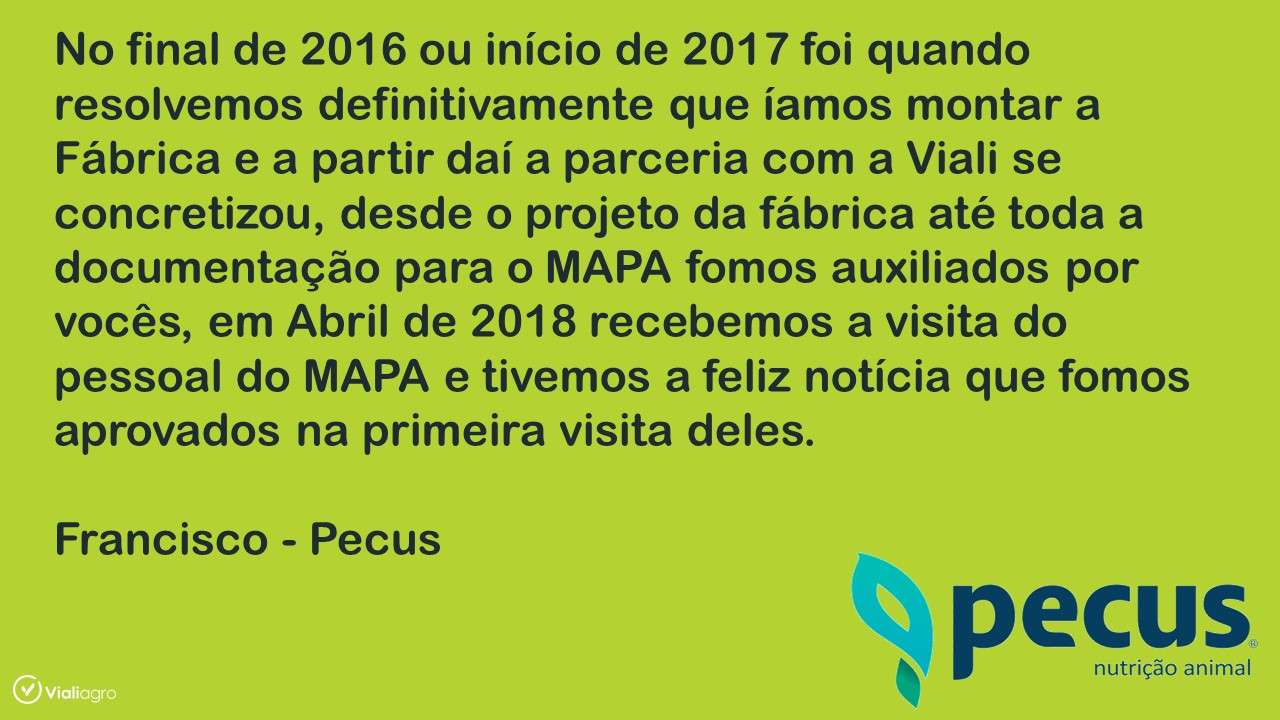 10 Passos para Construir um Poderoso Negócio e Crescer Rápido