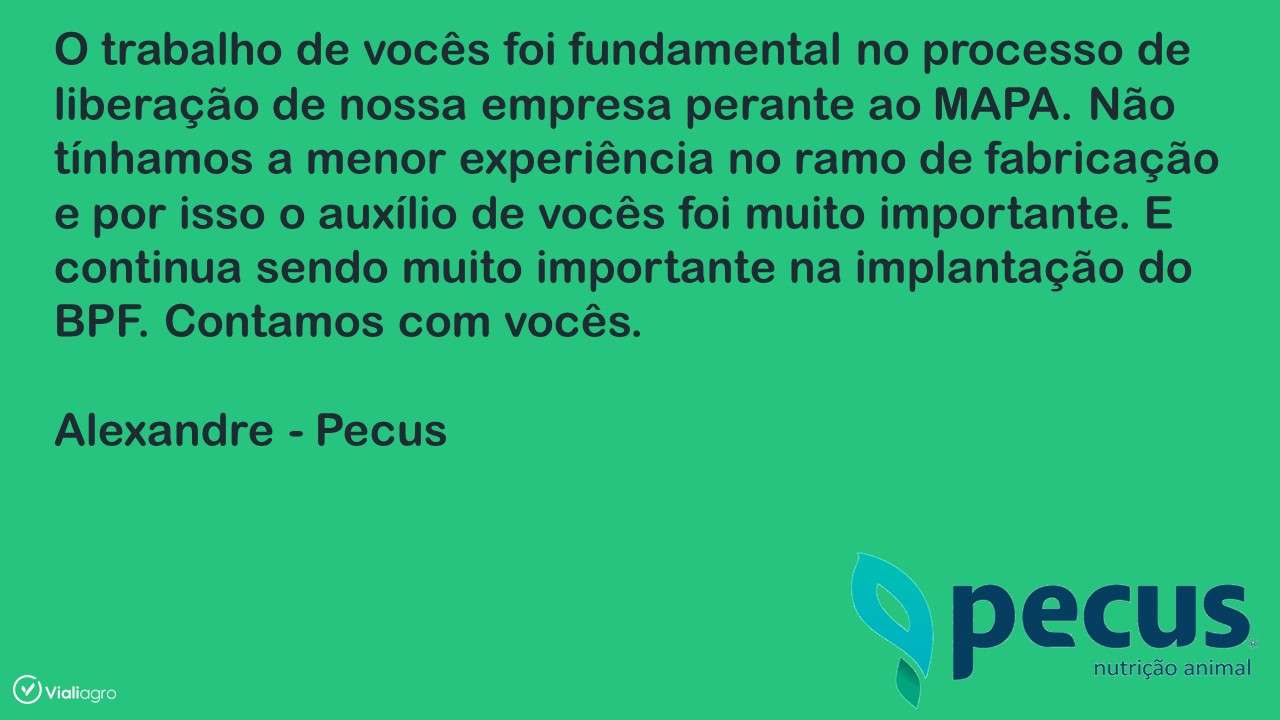 10 Passos para Construir um Poderoso Negócio e Crescer Rápido