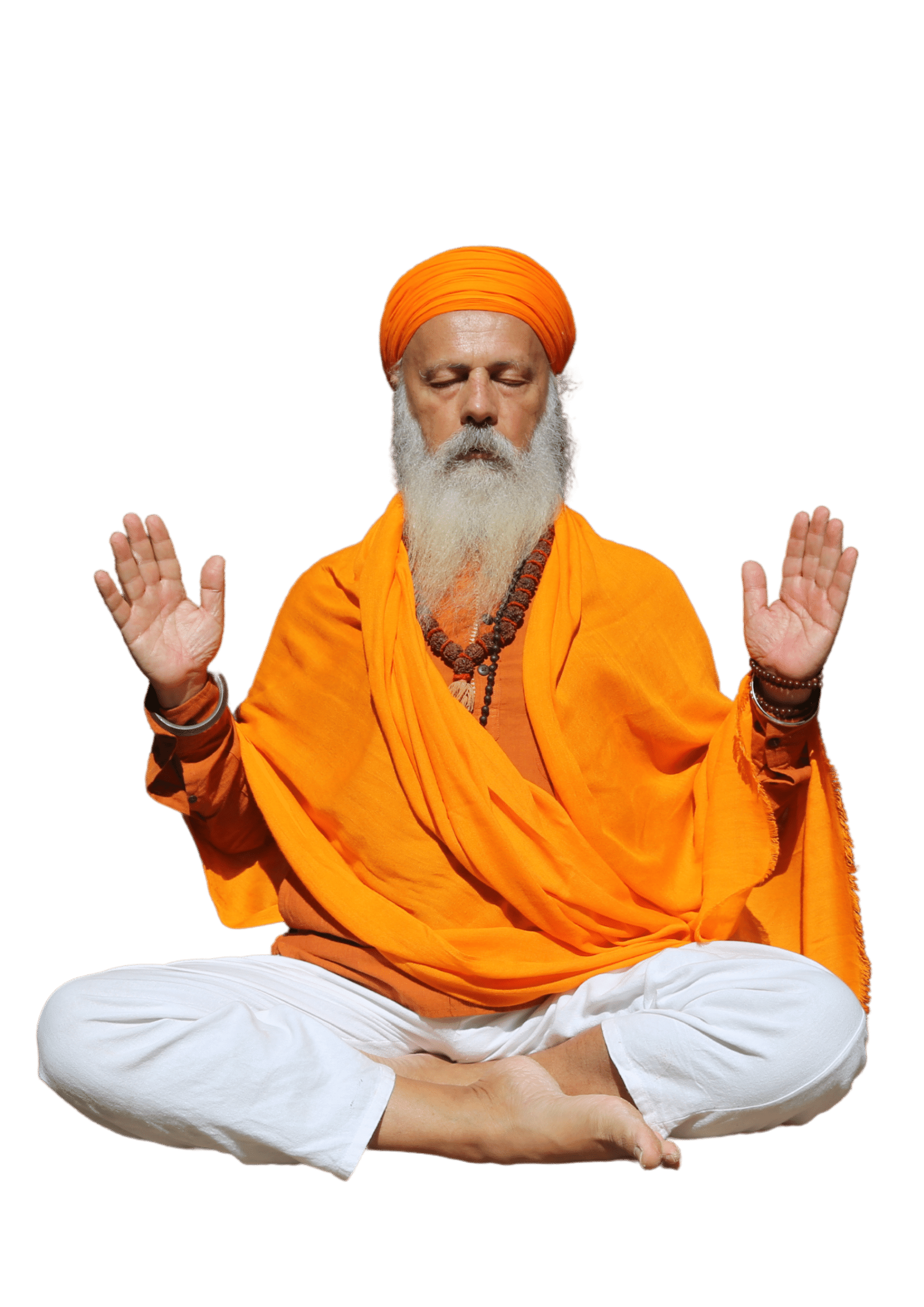 Numerologia Tântrica Brasil com Akal Muret Singh — imagem 2