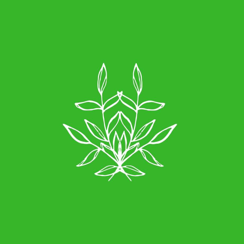 Mairo Vergara