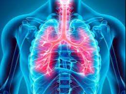 MENTE: Saúde Quântica