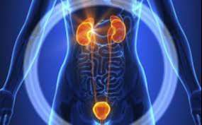 MENTE: Saúde Quântica