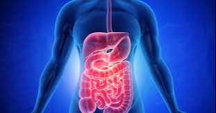 CORPO: Alimentação e Fitness