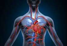 MENTE: Saúde Quântica