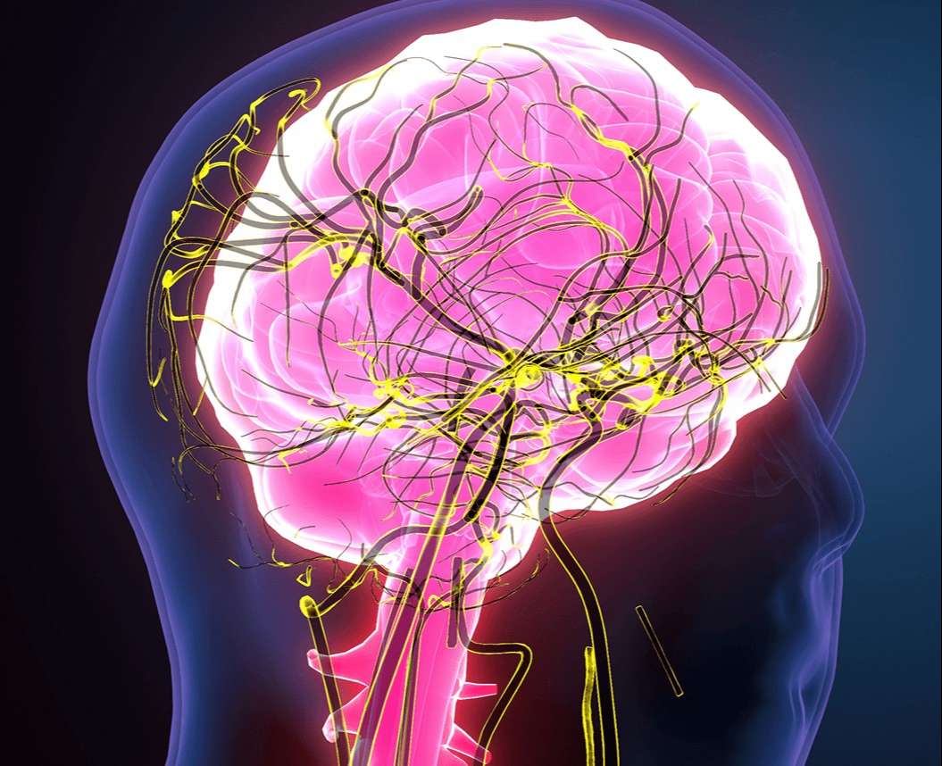 CORPO: Alimentação e Fitness