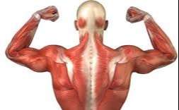 MENTE: Saúde Quântica