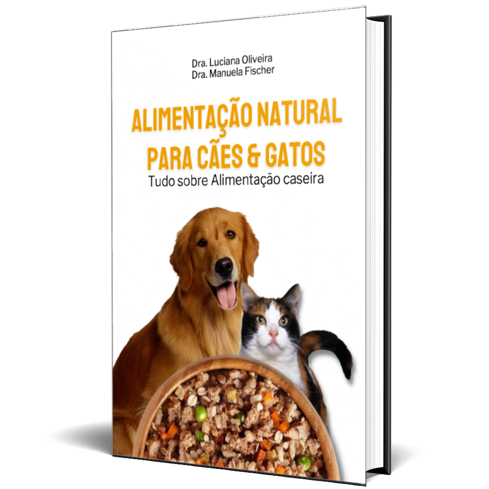 Mapa do seu plano de Lançamento