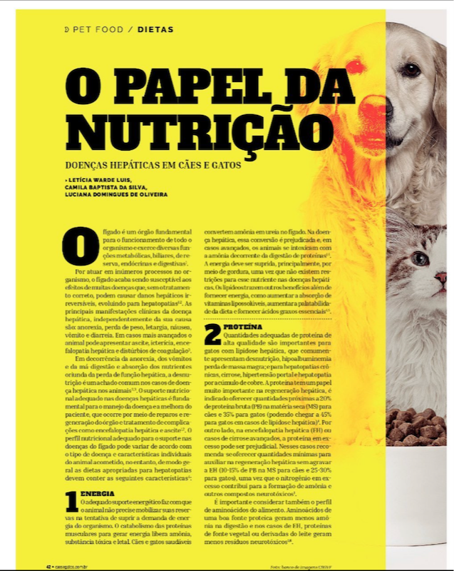 10 Passos para Construir um Poderoso Negócio