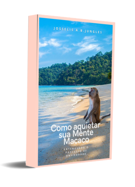 Mapa do seu plano de Lançamento