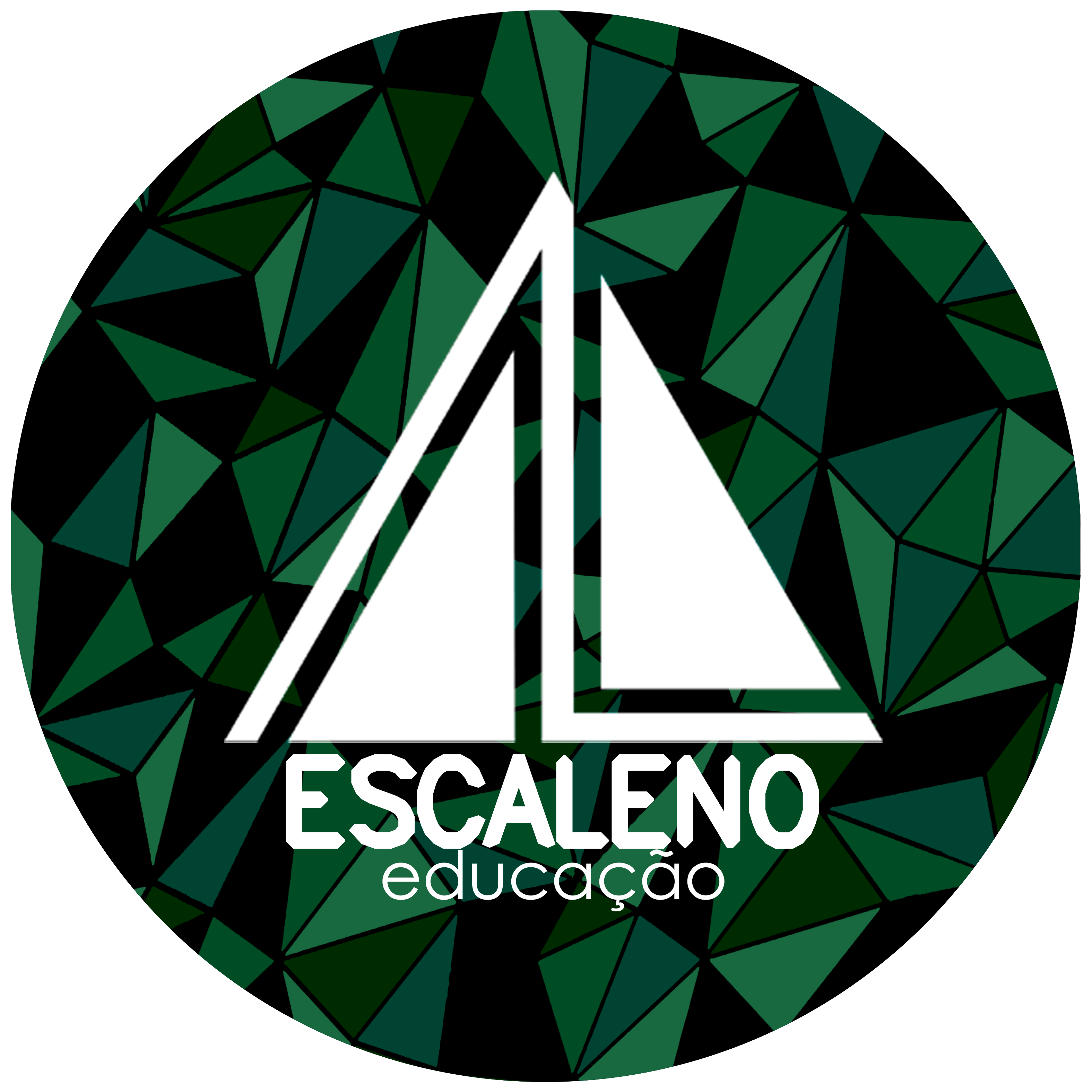 Escaleno Educação, Logo
