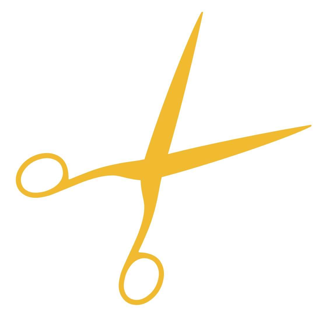 Imagem black-november