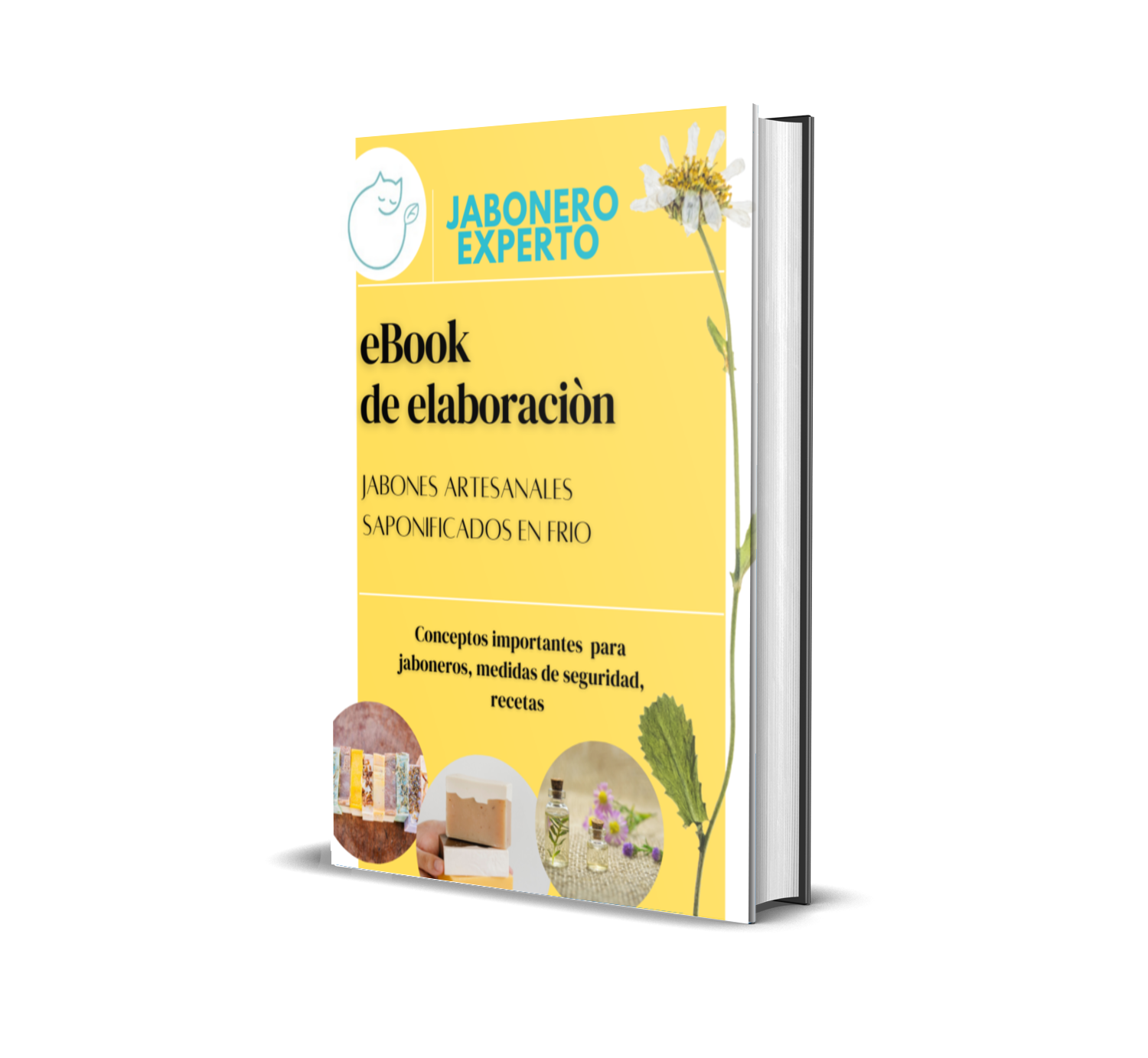 Imagem black-november-2022-sales