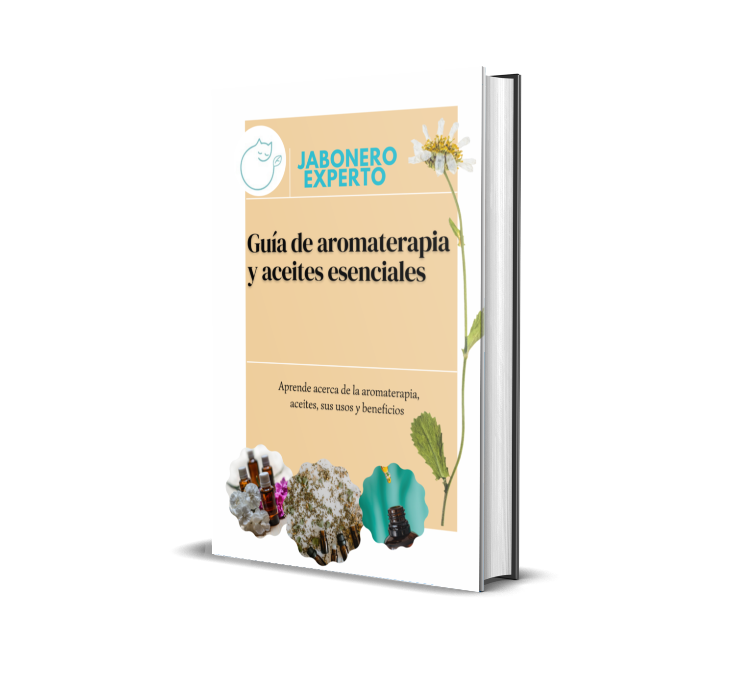 Imagem black-november-2022-sales