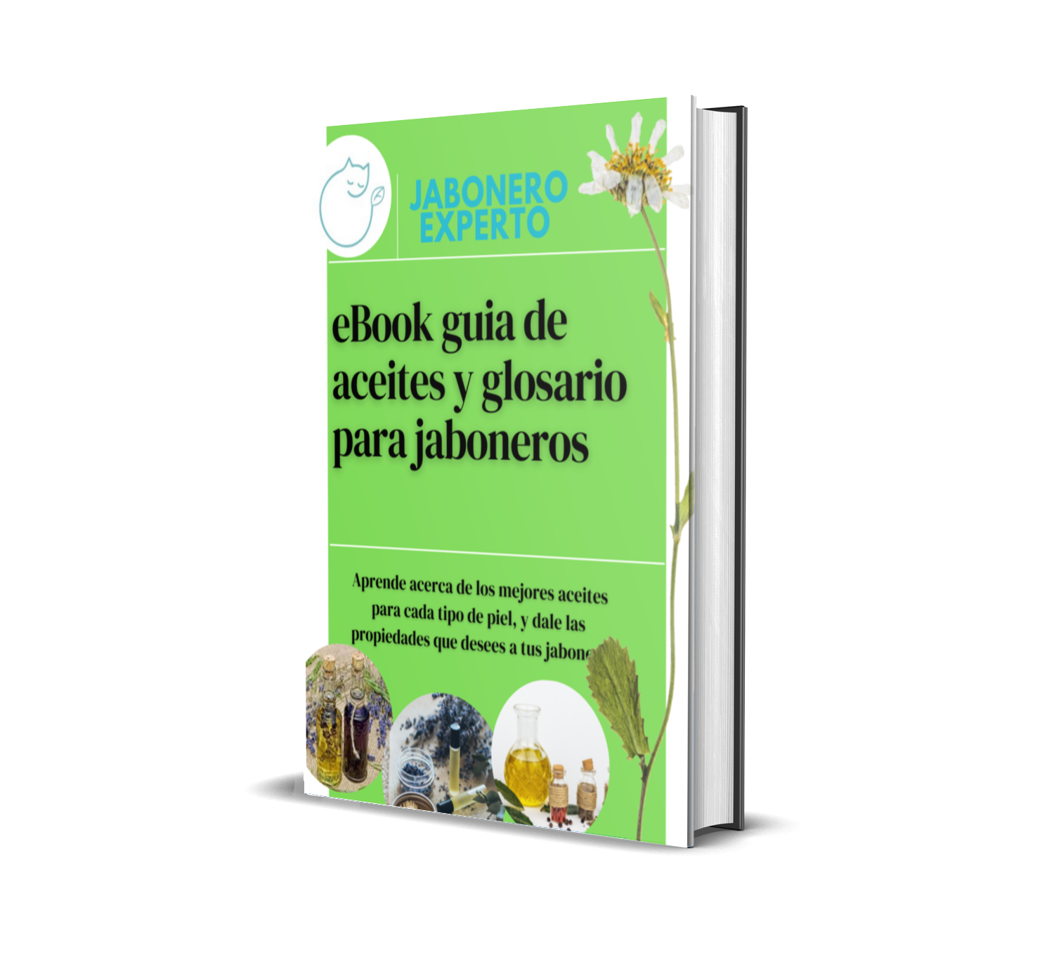 Imagem black-november-2022-sales