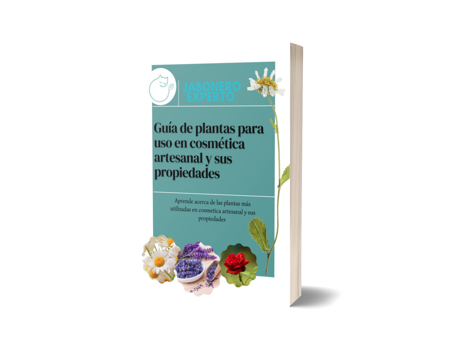 Imagem black-november-2022-sales